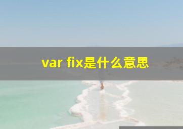 var fix是什么意思